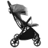 Прогулочная коляска Joy Geneva GN-64493