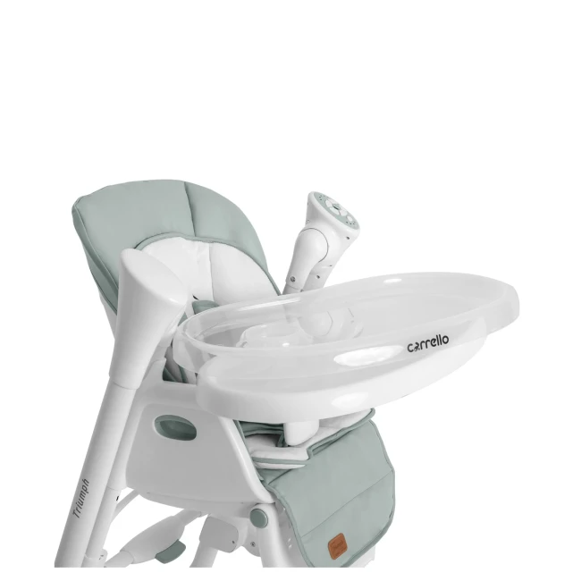 Стульчик-качели для кормления Carrello Triumph CRL-10302 Olive Green (3 в 1, шезлонг, качалка, съемный столик, музыка) Стульчик-качели для кормления Carrello Triumph CRL-10302 Olive Green (3 в 1, шезлонг, качалка, съемный столик, музыка)