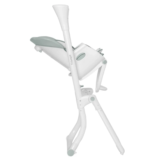 Стульчик-качели для кормления Carrello Triumph CRL-10302 Olive Green (3 в 1, шезлонг, качалка, съемный столик, музыка) Стульчик-качели для кормления Carrello Triumph CRL-10302 Olive Green (3 в 1, шезлонг, качалка, съемный столик, музыка)