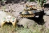 Большой танк на радиоуправлении M1 Abrams (War Tank 9995 Brown)